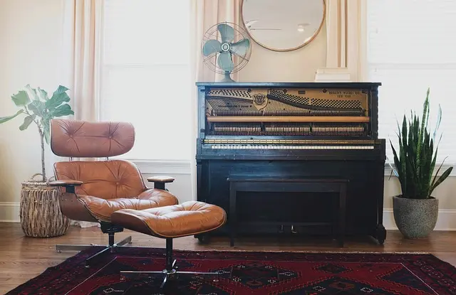 Innovative Ways to Refresh Your Home with Trendy Decor