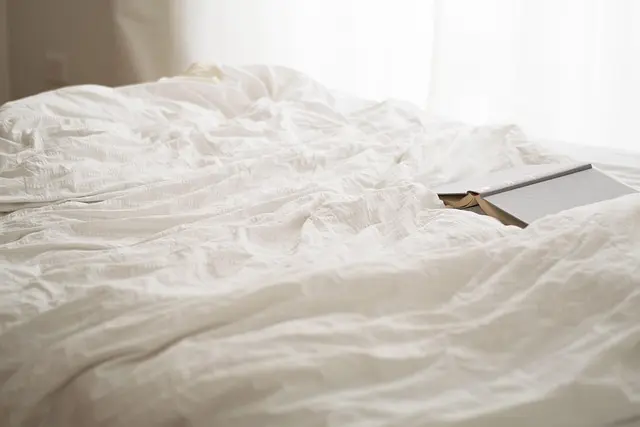 10 Expert Tips for Creating a Cozy Home Environment