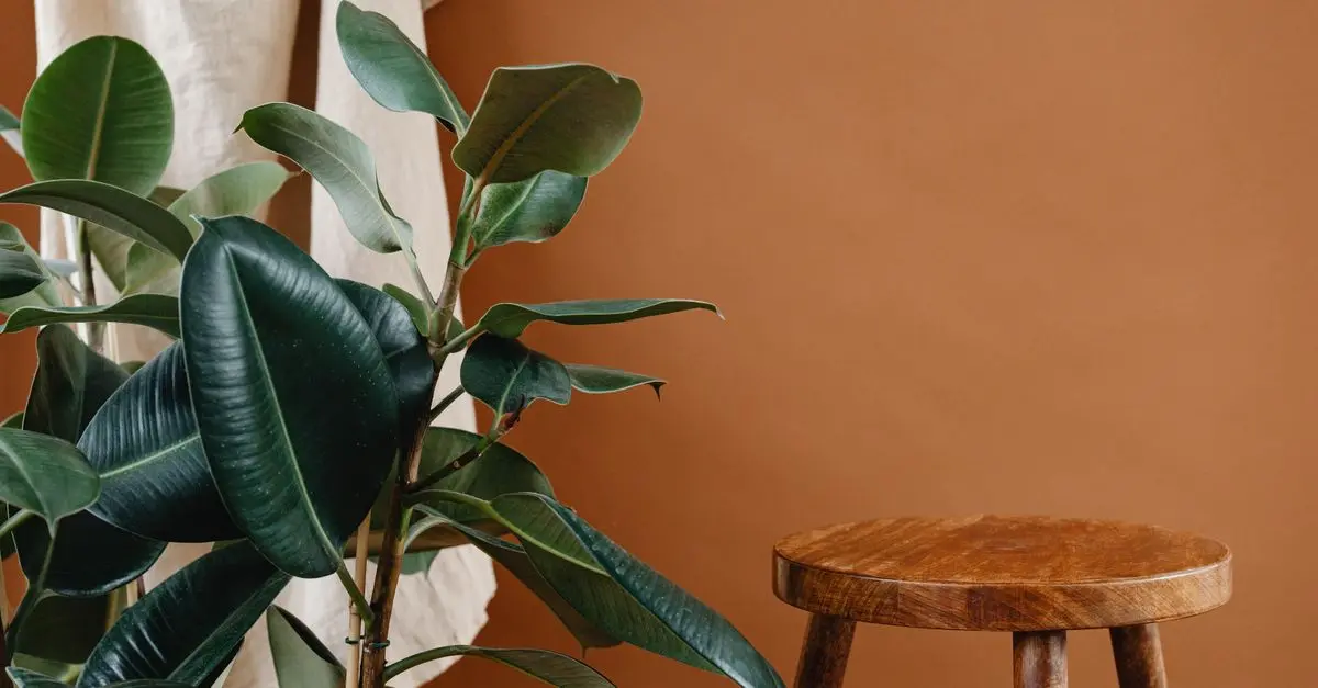 How to Incorporate Sustainable Decor for a Greener Home