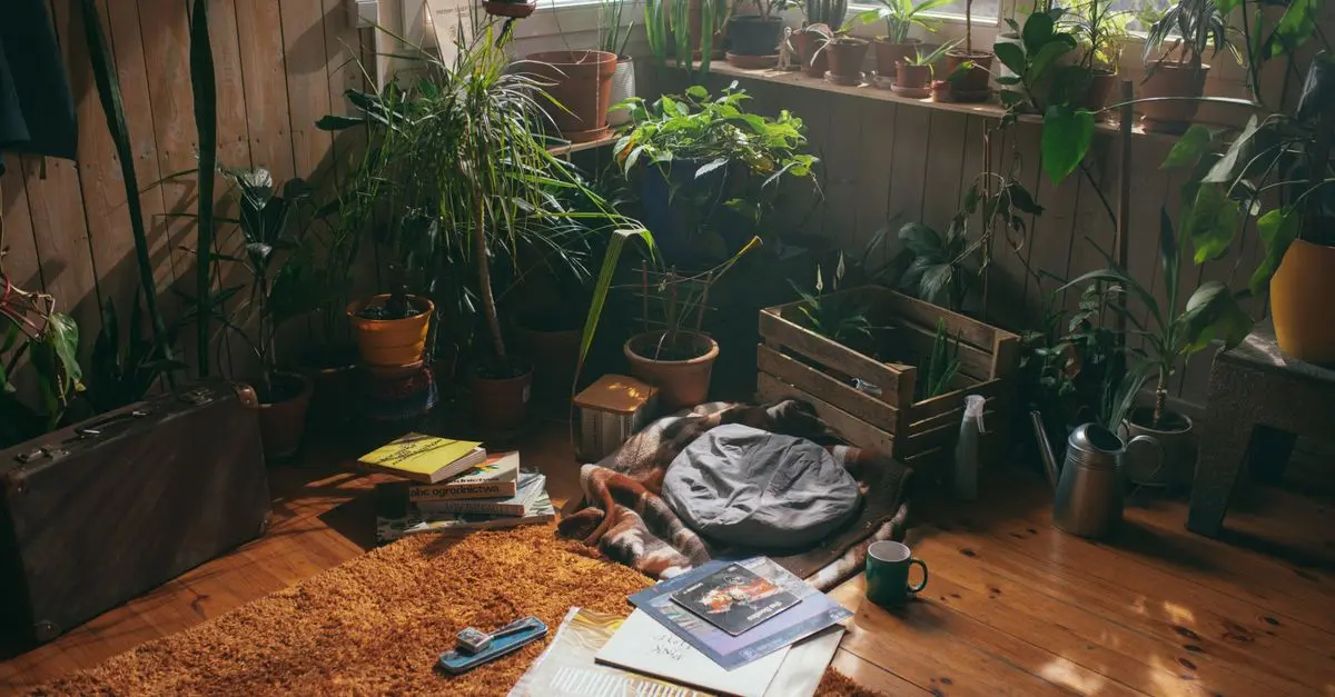 5 Innovative Ways to Decorate with Earthy Tones