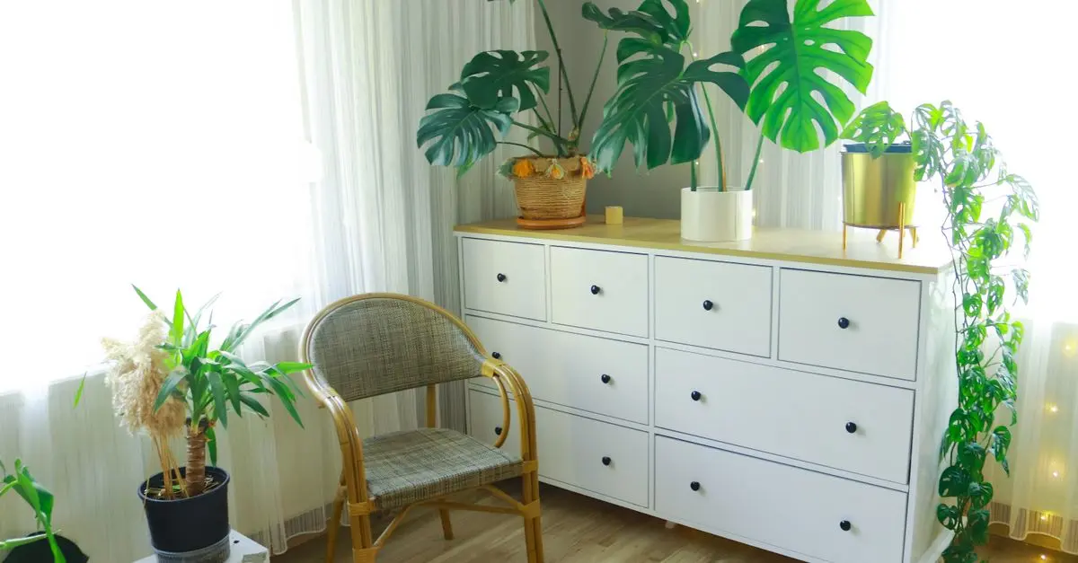 How to Incorporate Sustainable Decor in Your Home