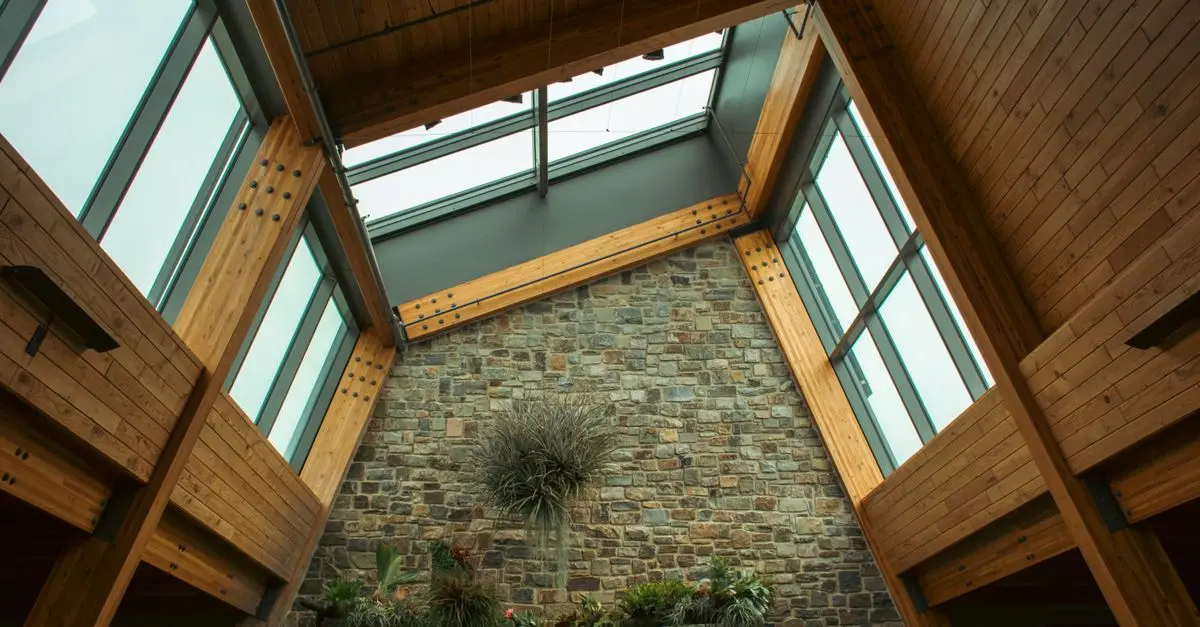 How to Incorporate Biophilic Design into Your Home Decor
