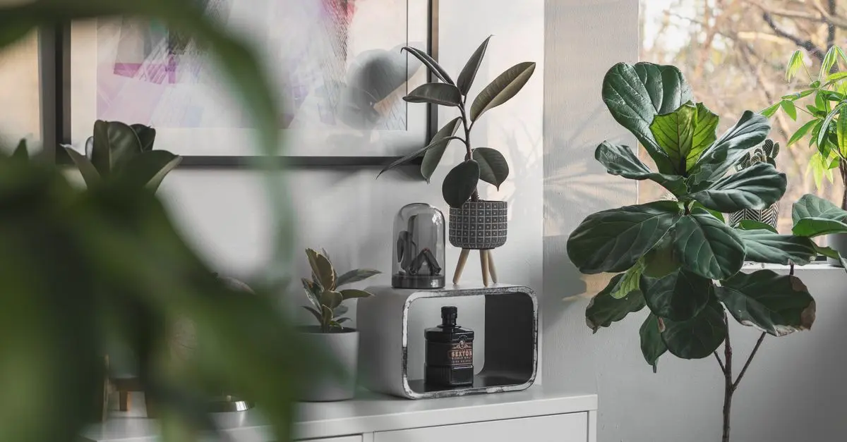 5 Essential Elements of Eco-Friendly Home Decor