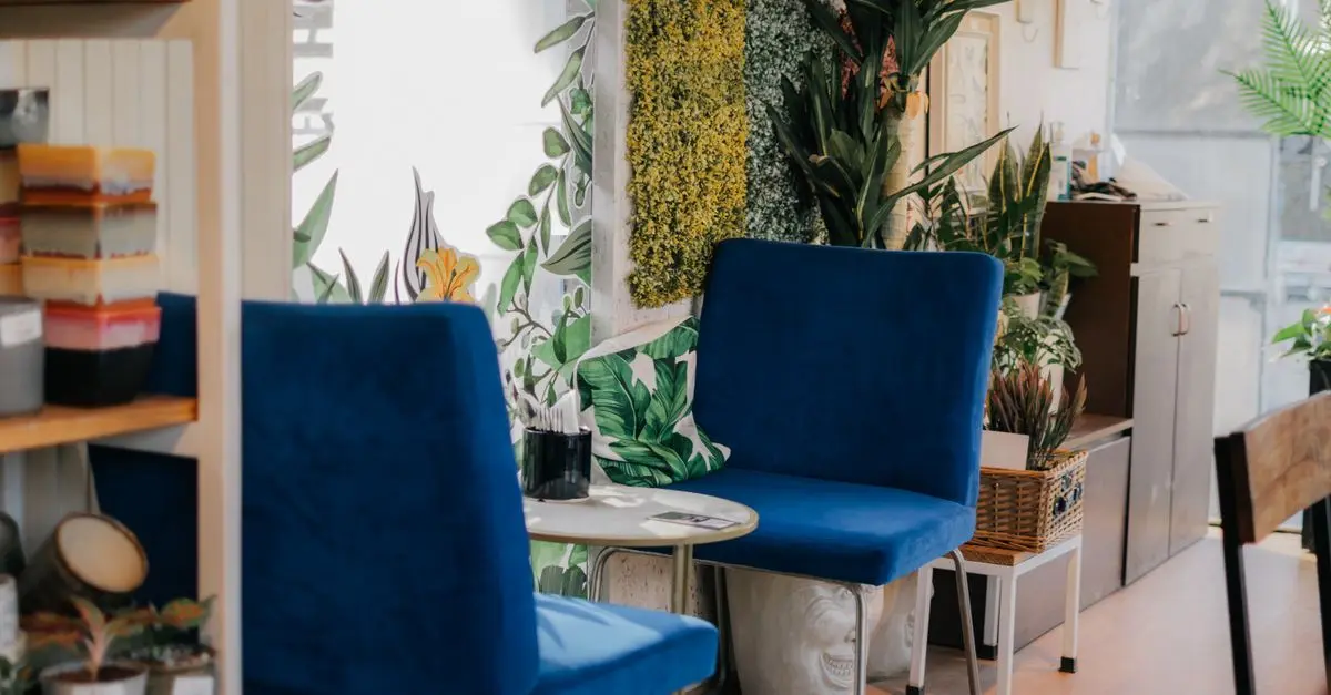 The Best Plants to Enhance Your Home Decor