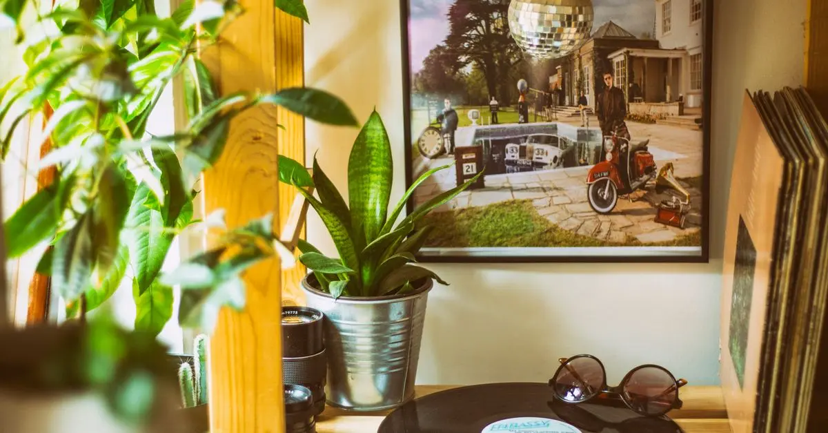 Creating a Mid-Century Modern Home Decor Style