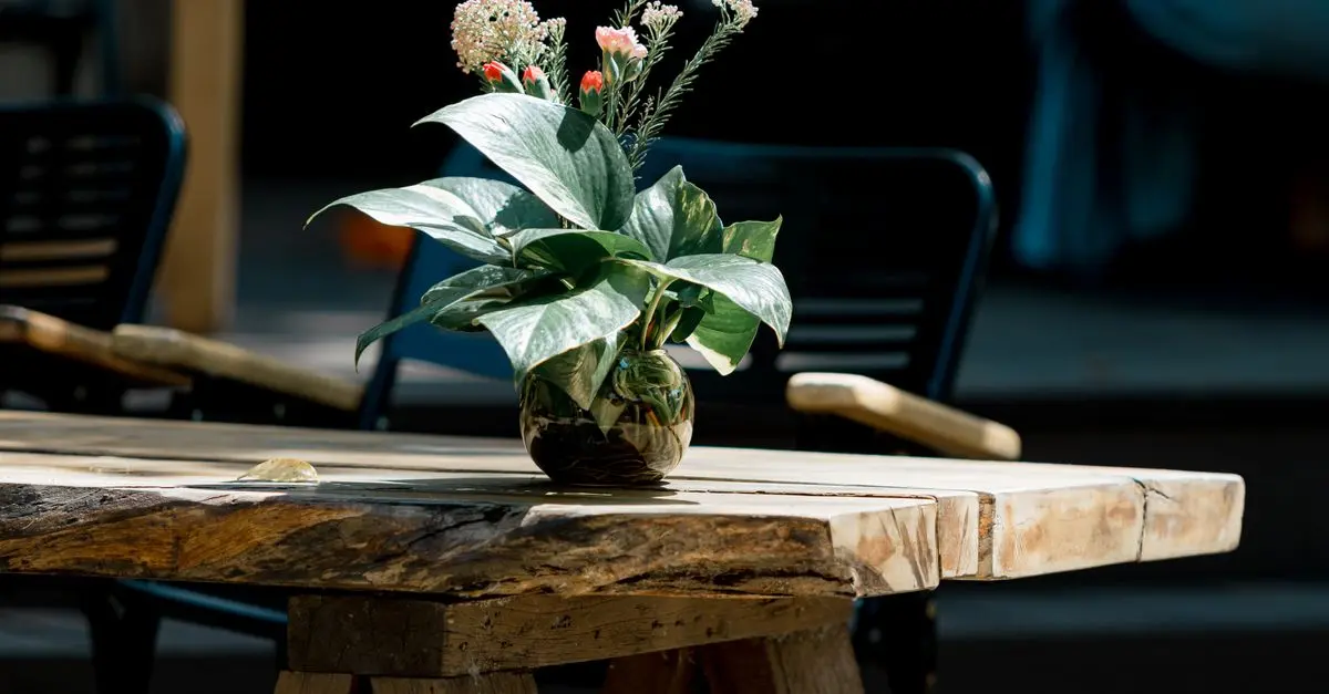Eco-Friendly Decor Solutions for a Sustainable Home