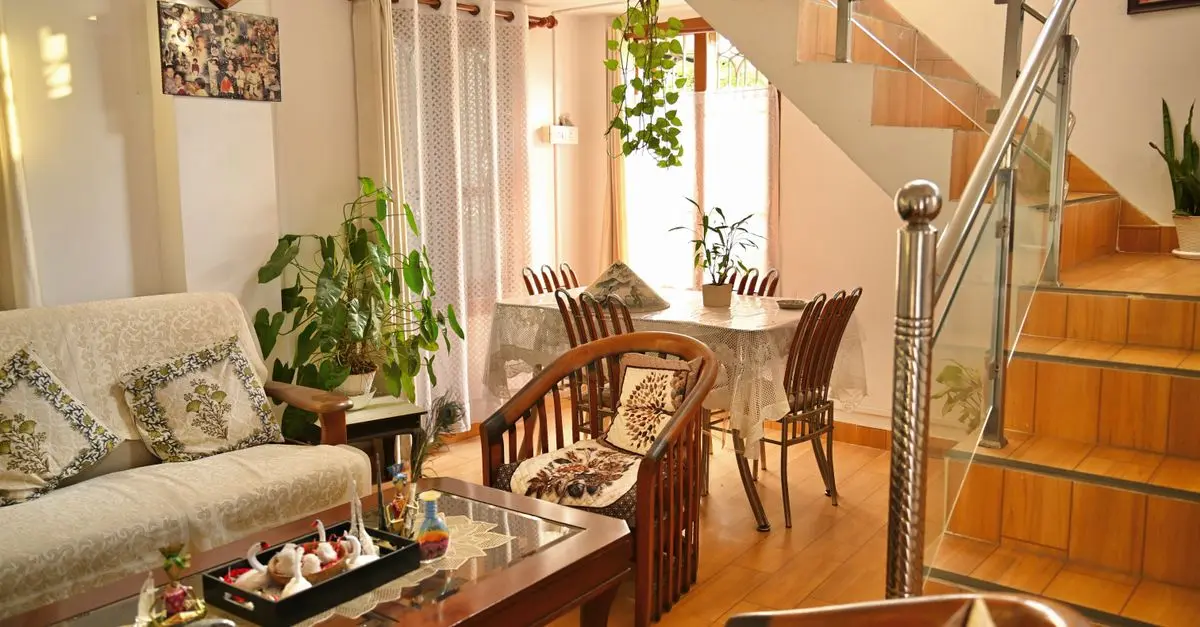 How to Incorporate Biophilic Design in Your Home Decor