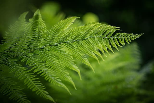 7 Essential Tips for Choosing Eco-Friendly Decor